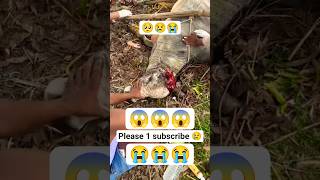 😱Please support me 🙏 #nandimaharaj #tretment #funnyanimal #youtube #youtubeshorts #youtuber #shorts