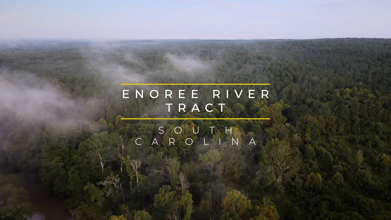 A New Chapter for Public Land in the Upstate: The Enoree River Tract