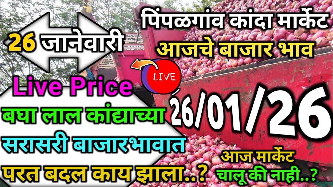 Pimpalgaon Onion Market Price Today:Latest Rates And Insights 26 January 2025