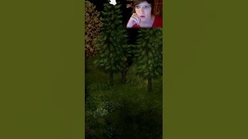 Sometimes Project Zomboid Can Be Scary - Project Zomboid Clips