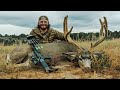 Mule Deer Hunting Utah (Catch And Cook) With An ARROW GUN