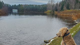 Wandering through the Willie Walk in Corner Brook NL! Ep.  24