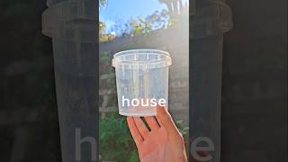 I Made An Ecosystem For $1 #shorts #Ecosystem #challenge #nature