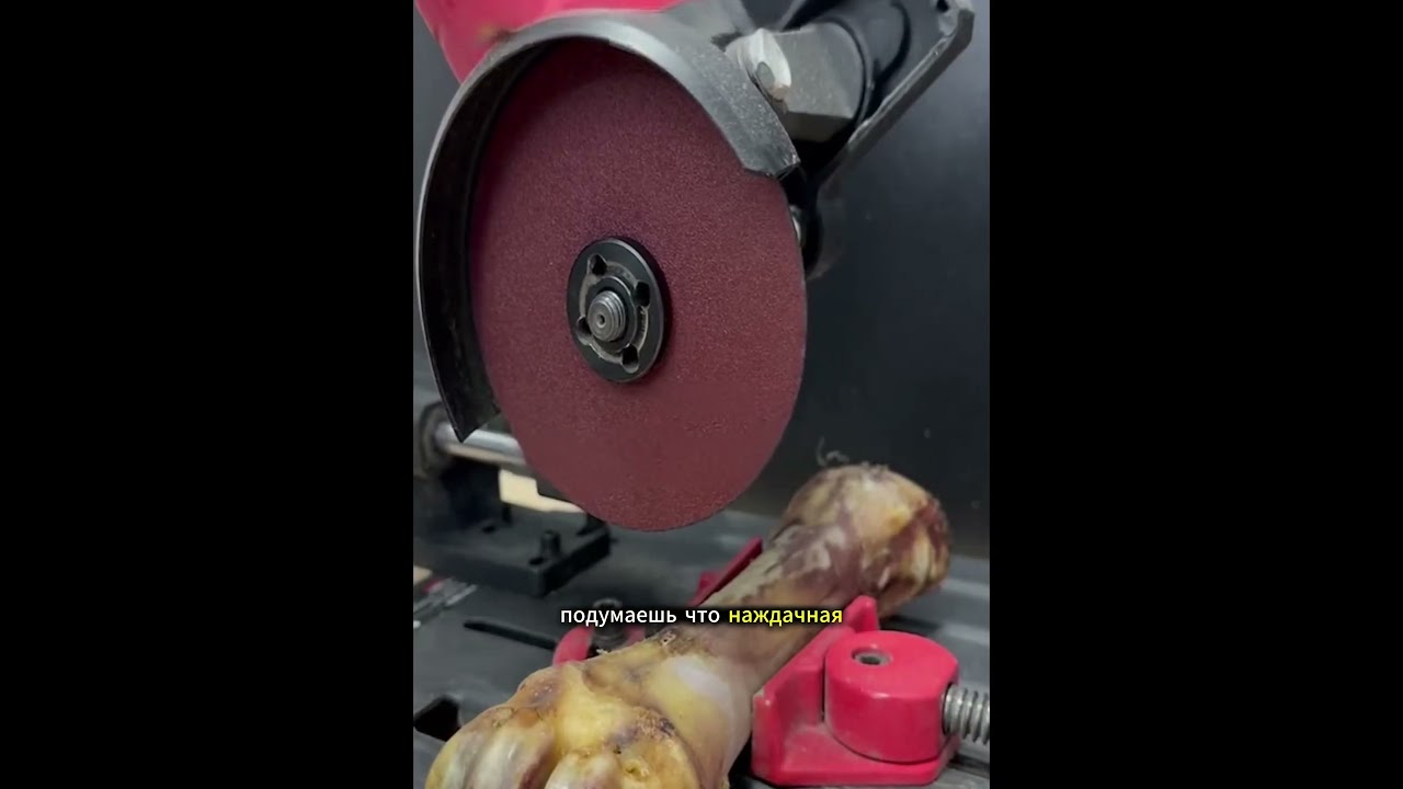 #didyouknow #knowledge #amazing #fyp #asmr