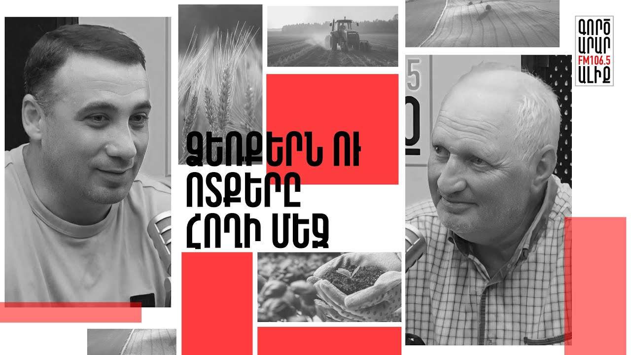 Վարդ ու ելակ. մշակության և իրացման քարտեզը. Բարքուբերք