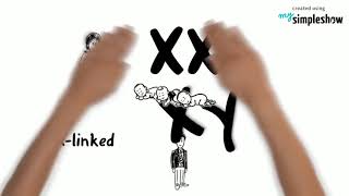 Complex Inheritance