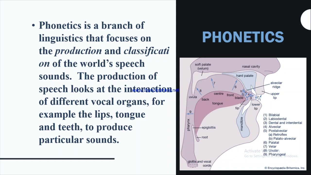 Phonetics|IPA CHART|PHONEMES|ALLOPHONES|INTERNATIONAL PHONETIC CHART
