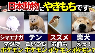 【ゆっくり解説】海外が夢中！日本にしかいない可愛すぎる動物7選