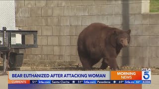 Monrovia bear known as ‘Blondie’ euthanized after 2 attacks