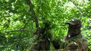 Tactical Concealment Delta Viper Hood 