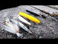 The TOP #5 BEST - STRIPED BASS & BLUEFISH FALL - SURF FISHING LURES for 2022 The TOP #5 BEST - STRIPED BASS & BLUEFISH FALL - SURF FISHING LURES for 2022