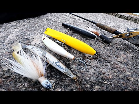 Best Lures for Striped Bass