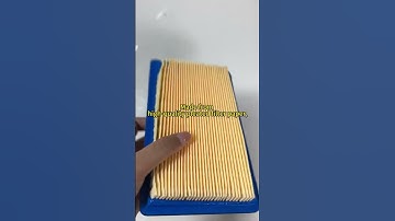 High Efficiency Auto Engine Lawn Mower Filter Element Model 496077 Custom