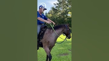 Quick Tips On Dragging A Barrel While Riding! Part 2! | The Horse Guru - Michael Gascon