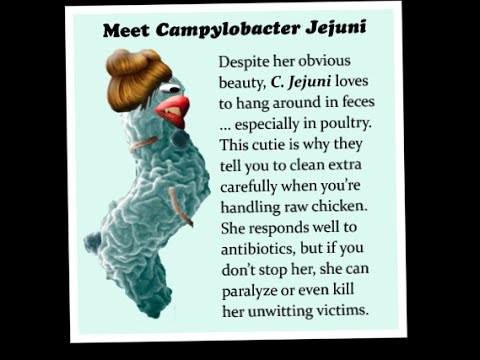 Campylobacter Jejuni