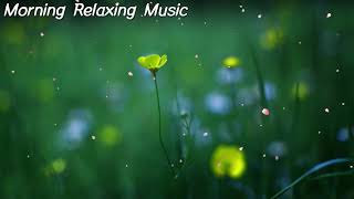 Morning Relaxing Music - Piano Music for Stress Relief and Studying