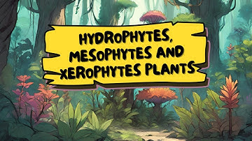 Hydrophytes Mesophytes and Xerophytes Plants
