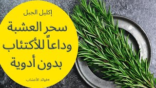 فوائد الروز مارى ( إكليل الجبل) || فوائد مذهلة ل إكليل الجبل للشعر