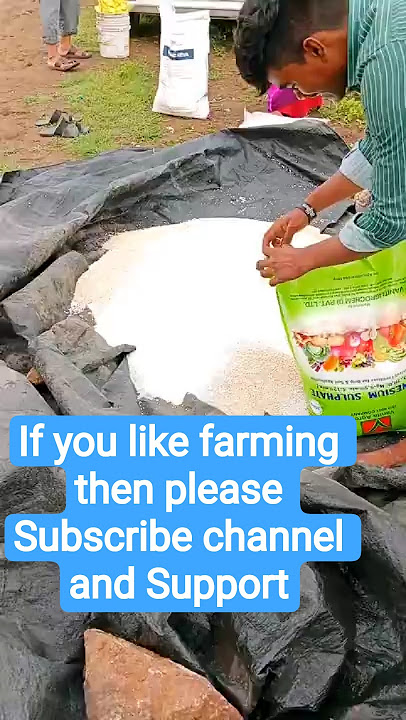 Farming fertilizer| magnesium sulphate | #npk #fertilizer #magnesium #shorts #farming #agriculture