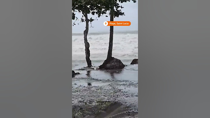 Hurricane Beryl inundates eastern Caribbean | REUTERS