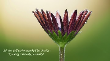 Atma Nirvriti Self Exploration - Knowing is the only possibility [AN 6] by Ekta Bathija
