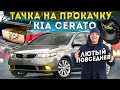 KIA CERATO / Тачка На Прокачку / Лютый повседнев