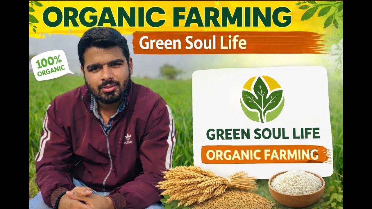 From Soil to Soul: The Story of Green Soul Life Why Organic Farming Matter and how to use compost.
