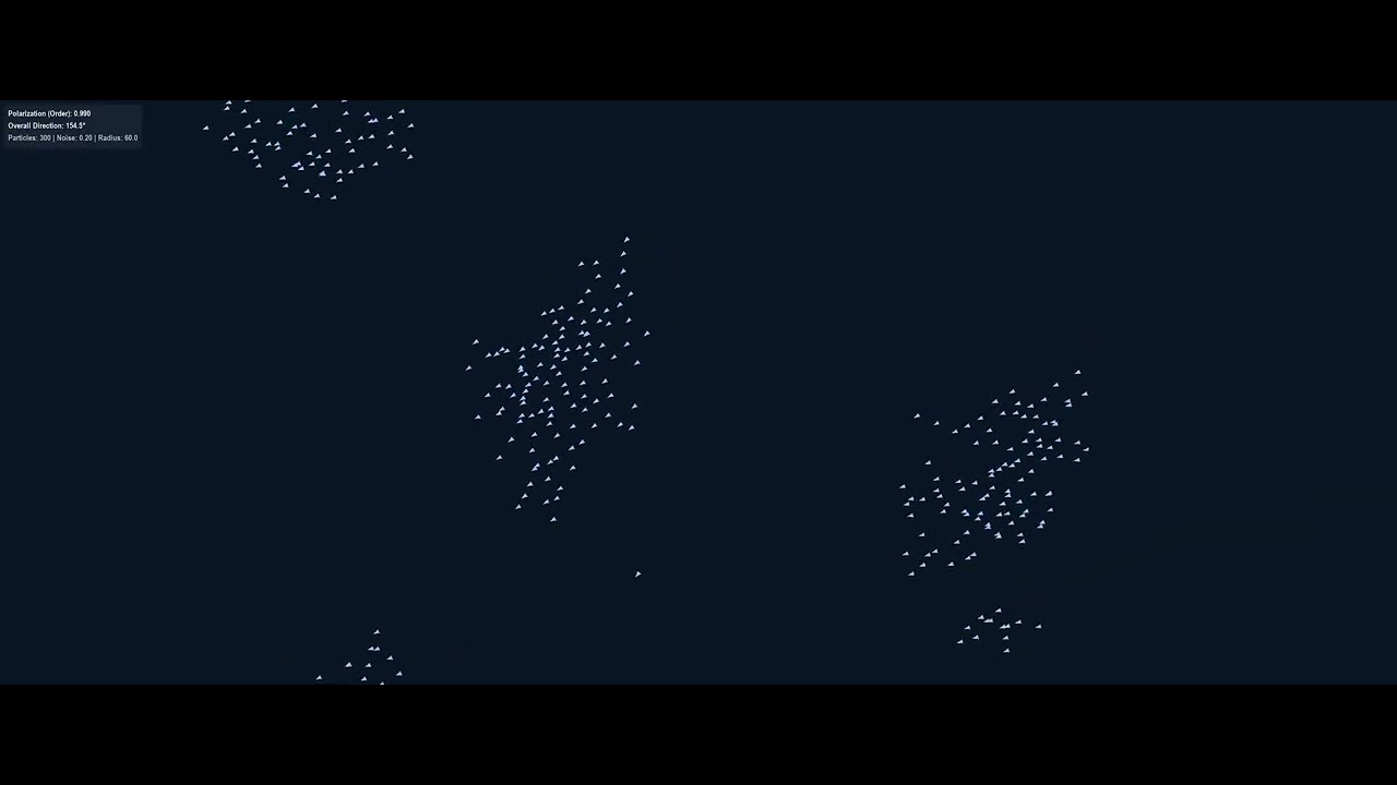 Simulating Collective Motion with the Vicsek Model - YouTube