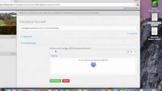 4  How to Submit an Assignment Net Worth