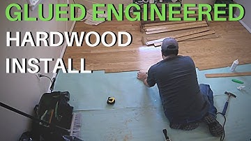 Time-lapse Install of Engineered Hardwood Flooring  -  Its Glued / No Nails   (Time-lapse video)