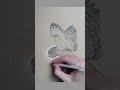 Just a cool floating owl  pen drawing