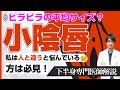 【ビラビラの平均サイズ】小陰唇の片側だけ大きいっておかしい？女性器のビラビラを図で解説。