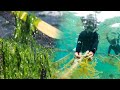 Watch Seaweed Farming At Another Level