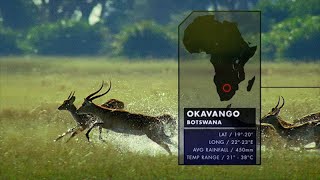 Nature's Microworlds: Okavango (Accessible Preview)