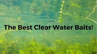 The Best Baits For Fishing Clear Water!