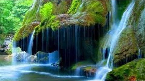 سورة الأنبياء بصوت الشيخ ناصر القطامي