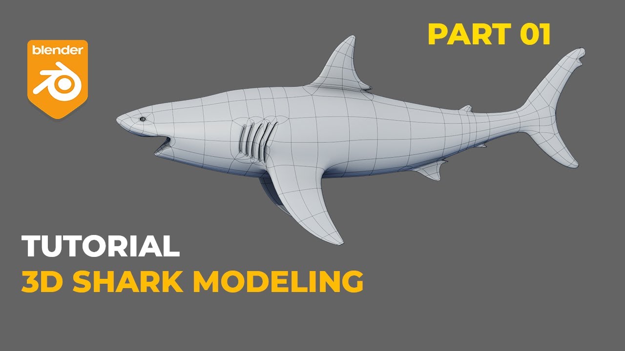3D Shark Modeling in Blender, Part 01, @3d_animal.factory, Tutorial