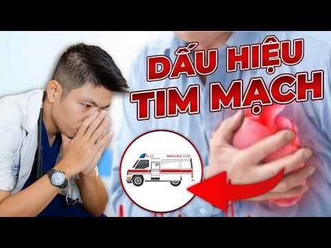 Video: Đáng yêu Kitten cố gắng để dạy cho chó cũ một số thủ thuật mới