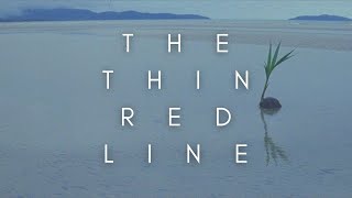 The Beauty Of The Thin Red Line