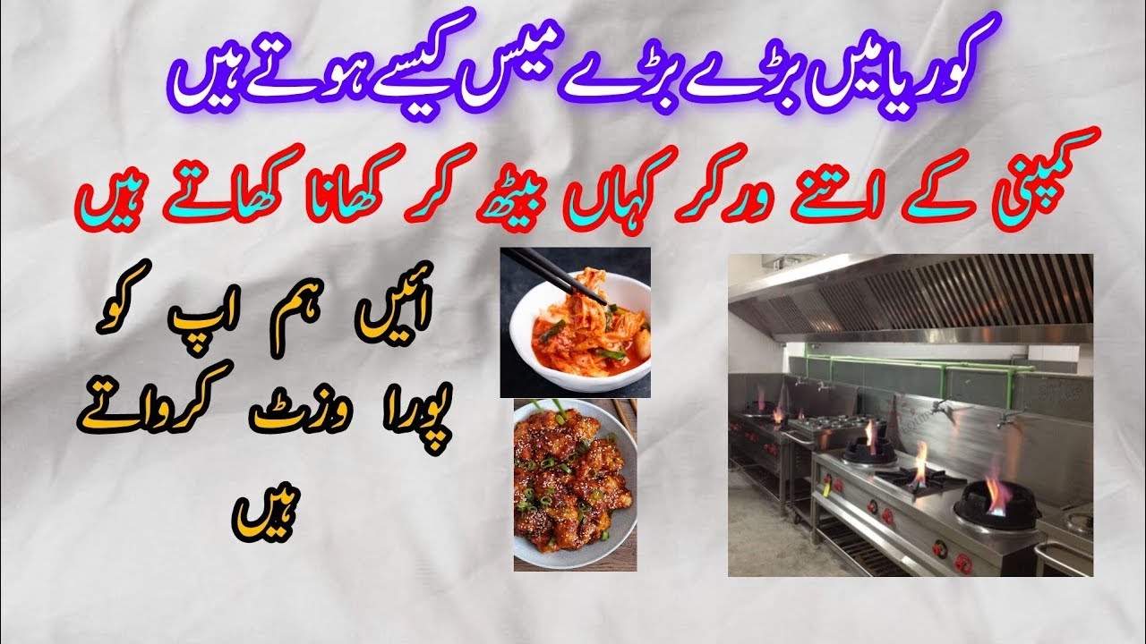 korean-mass-kitchen-where-do-workers-sit-and-eat-mrkoreanmr-foryou