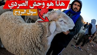 20 دقيقة من المتعة من سوق حد البروج مع ثمن الأغنام بتاريخ 17/03/2024