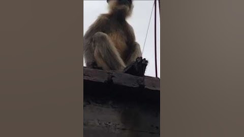 shorts#video😧 #song #music loveshorts