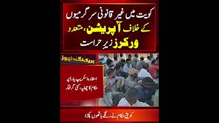 Kuwait Cracks Down Hard | Illegal Activities at Amghara Yard Lead to Mass Detentions!