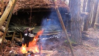Solo Camping under a Tree Root - Stone Fire, Raised Bed, Cooking Tripod