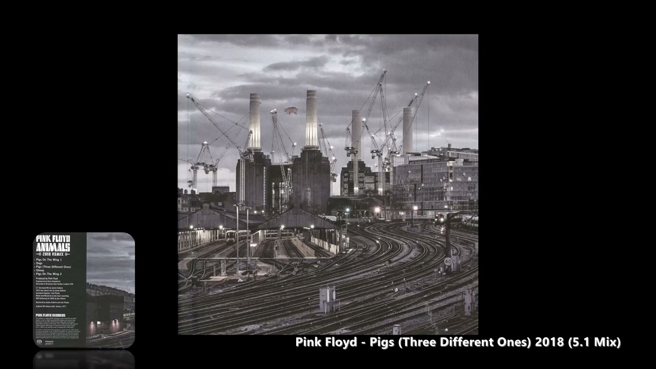 Pink Floyd - Pigs (Three Different Ones) 2018 (5.1 Mix)