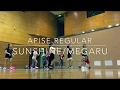 【踊ってみた】SUNSHINE / MEGARYU apise dance team