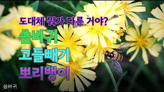 씀바귀 고들빼기 뽀리뱅이 같은 모양 꽃인데 도대체 뭐가 다른거야?