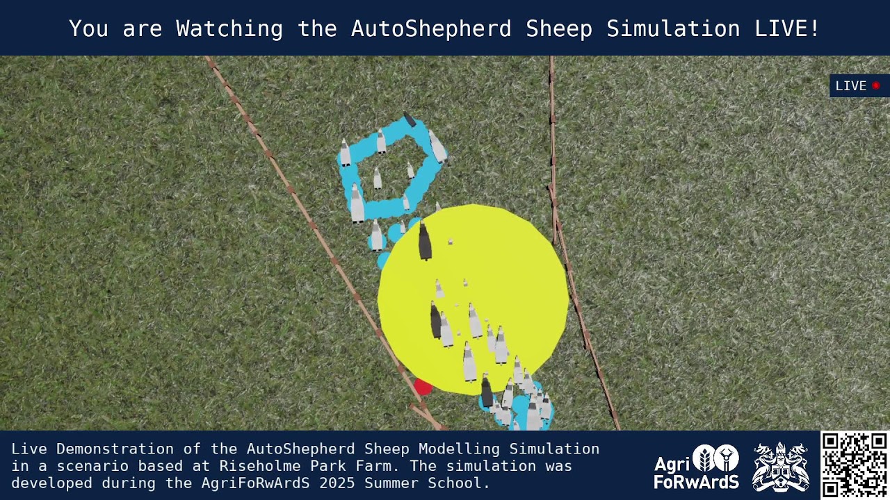 AutoShepherd Sheep Simulation LIVE