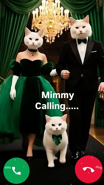 mimmy calling🤙viral ringtone mi#🔥🤙viralshortvedeo#cute#cat#family#mimmy#calling🤙#viral#short#cat#mi#