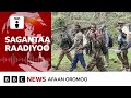 Hidhattoonni Faannoo Horro Guduruu  Wallaggaatti namoota ajjeesuu jiraattoonni himatan
